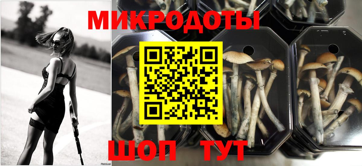 Зима  Псилоцибиновые грибы MAGIC MUSHROOMS  Вход с VPN 